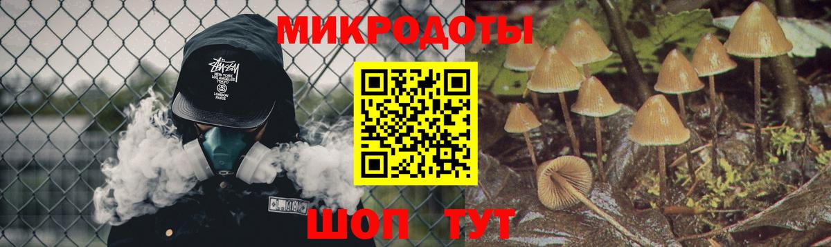Медногорск  Псилоцибиновые грибы Cubensis  купить наркоту  Вход с VPN 